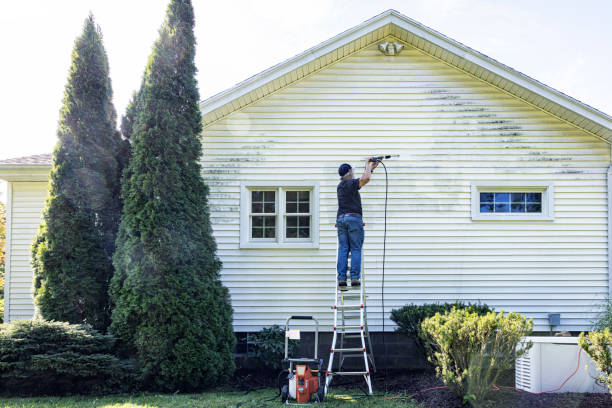 Best Gutter Cleaning and Brightening in Luling, LA